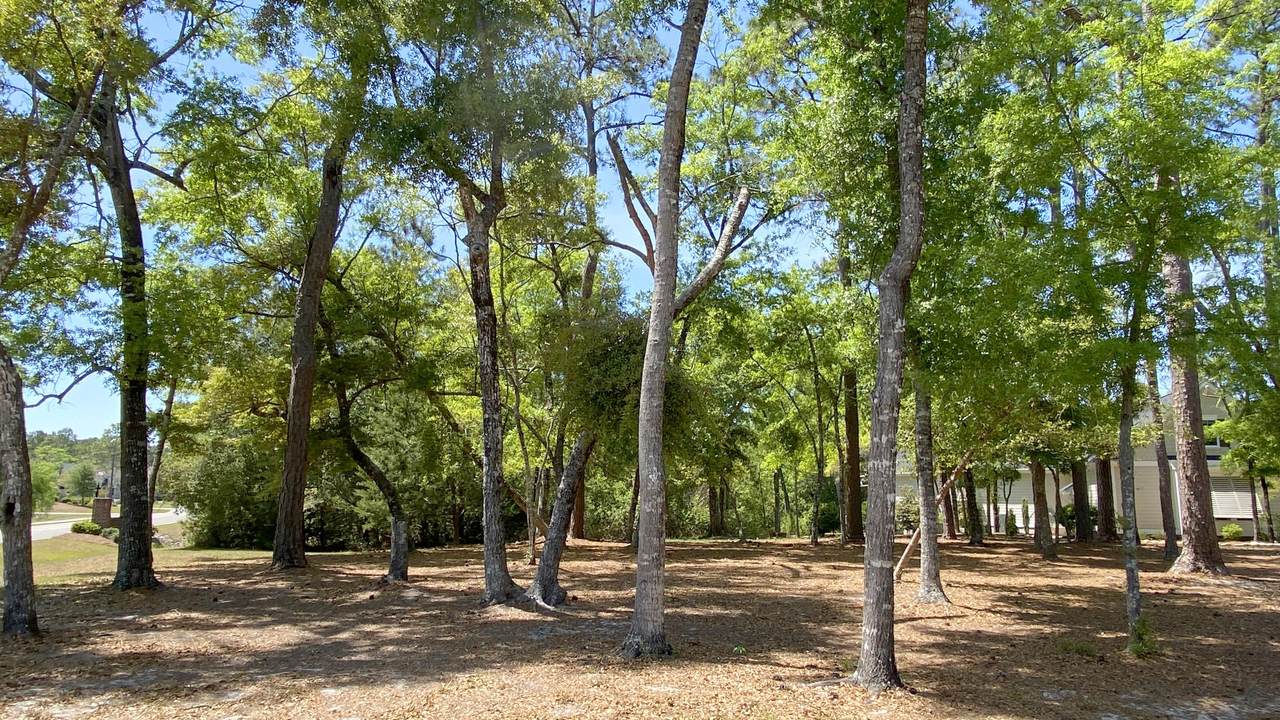 3911 Sand Hickory Lane - Photo 1