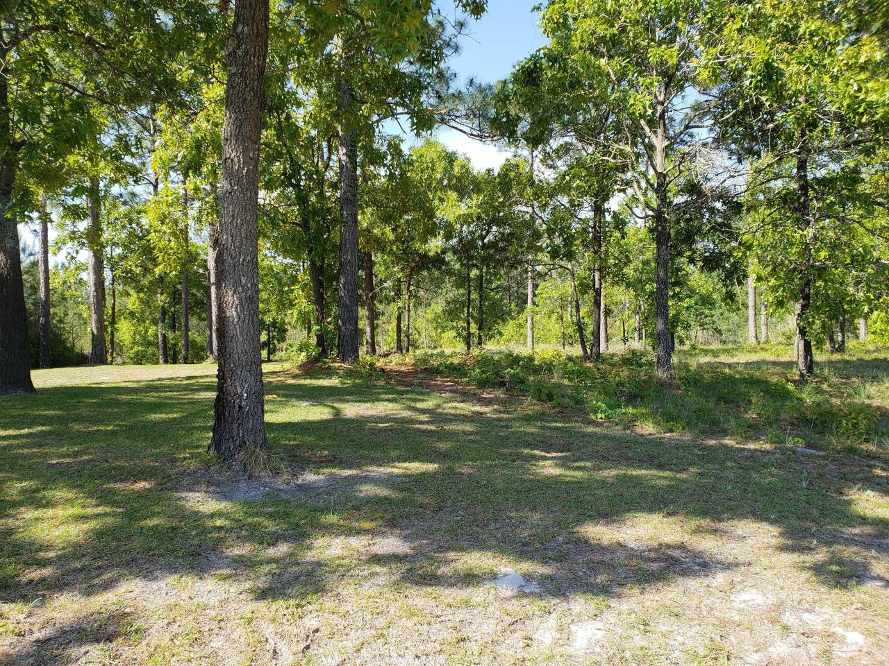 5 Morris Drive - Photo 1