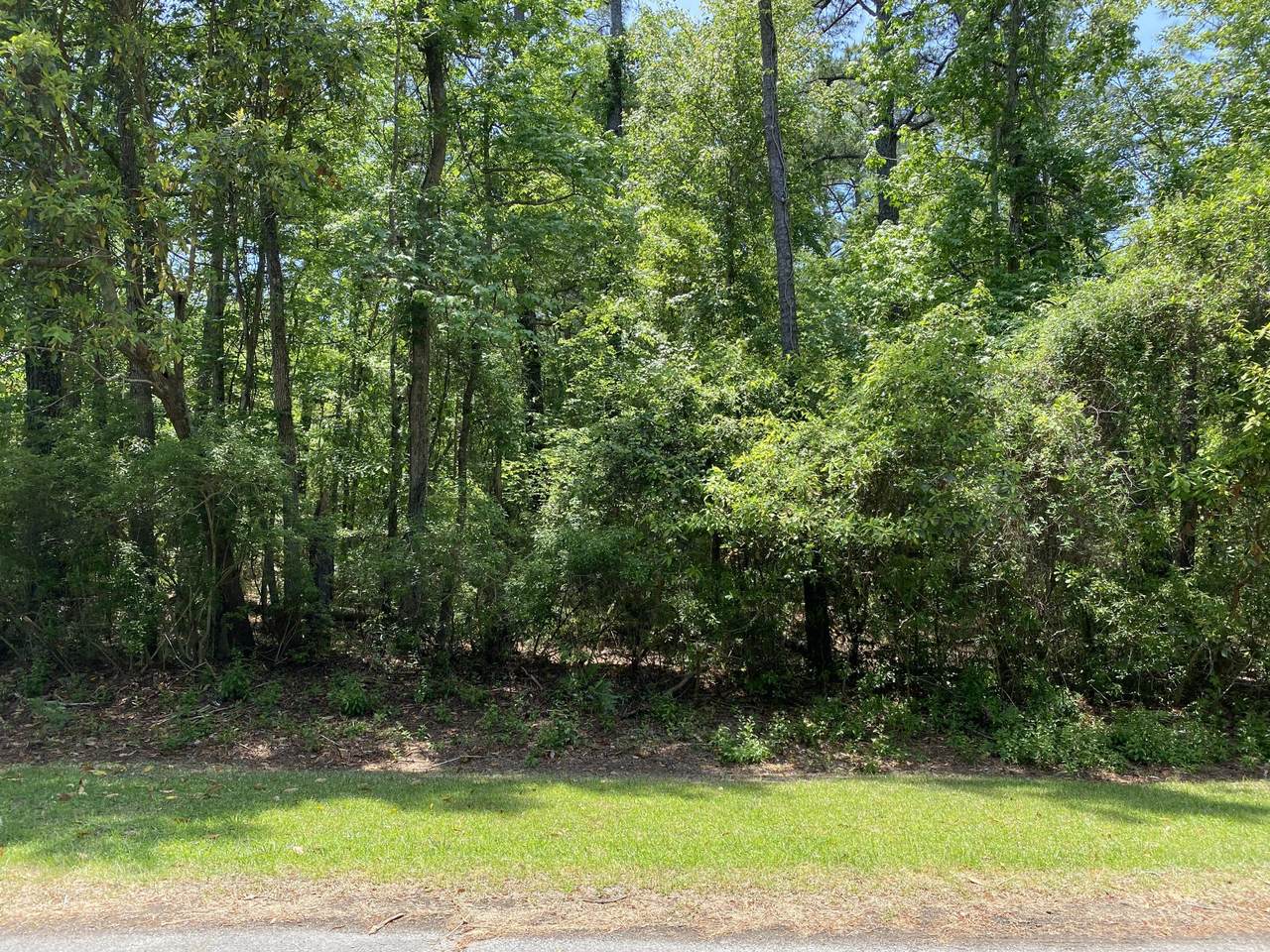706 Davy Jones Court - Photo 1