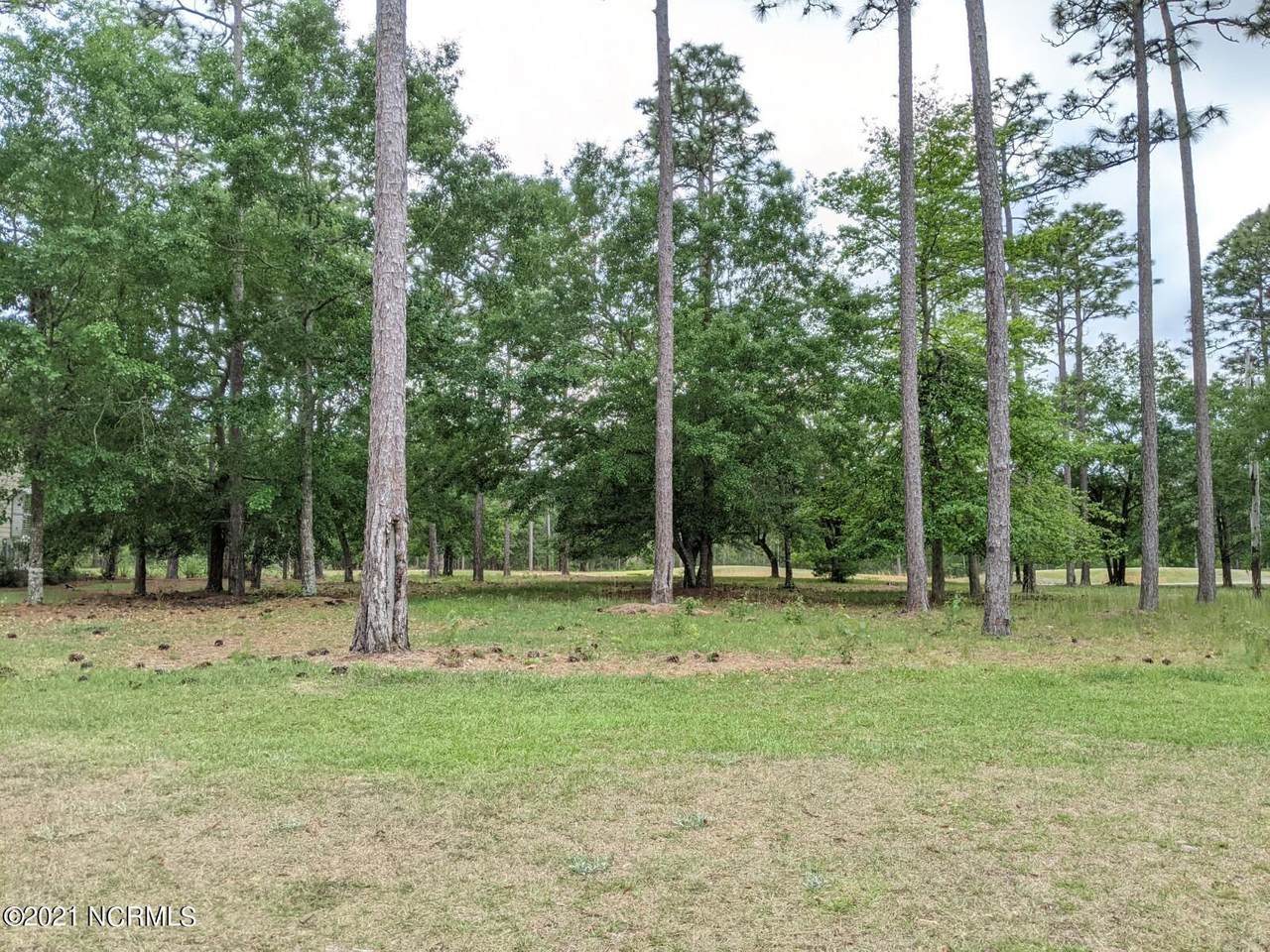 487 Emerald Valley Drive - Photo 1
