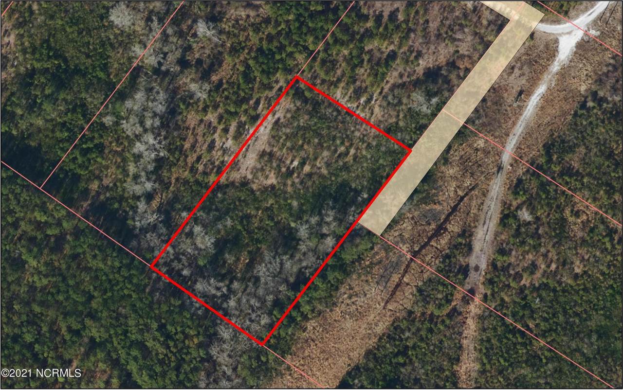 Lot B Louvinia Shepard Survey - Photo 1