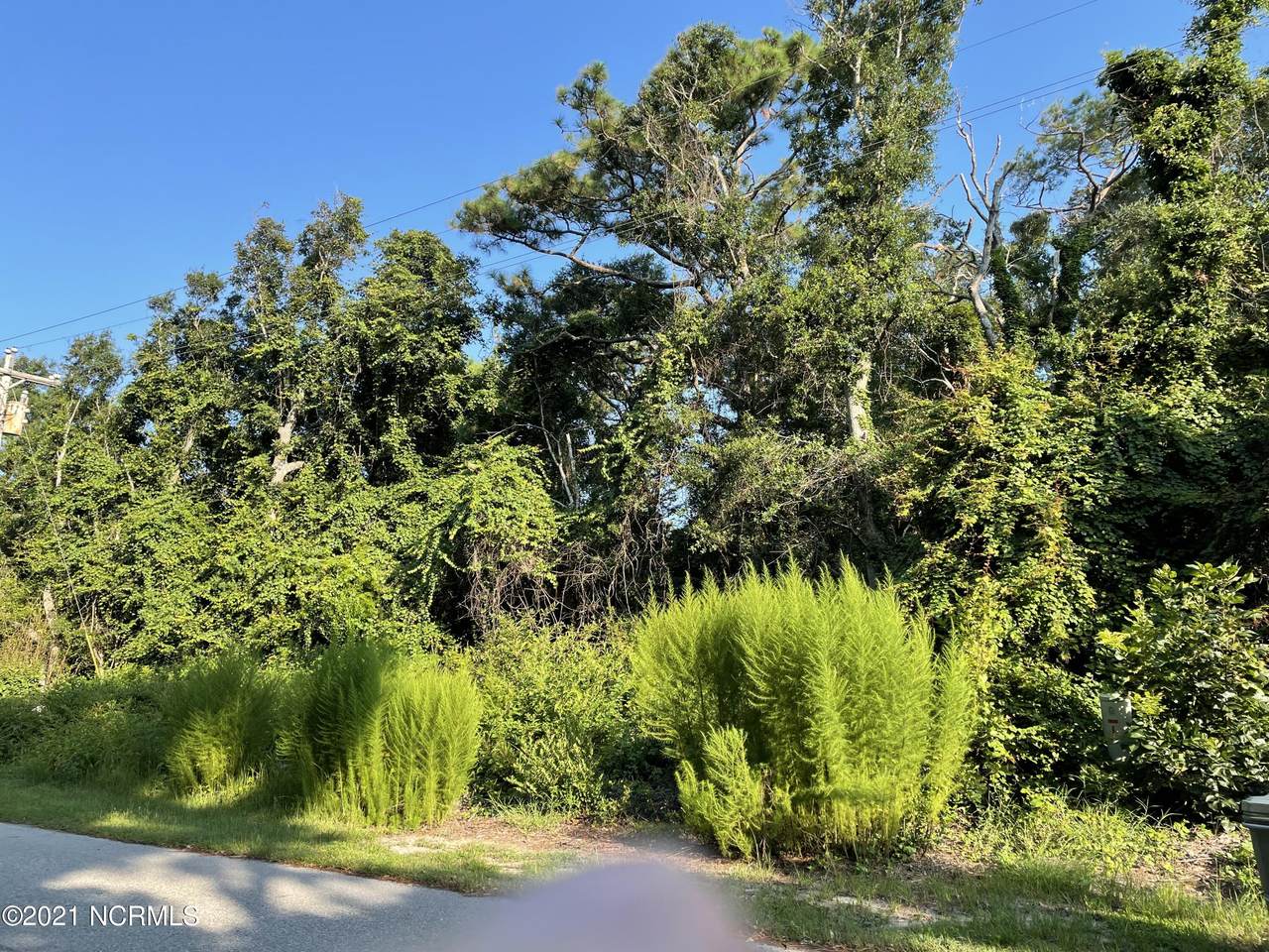 118 Loblolly Drive - Photo 1