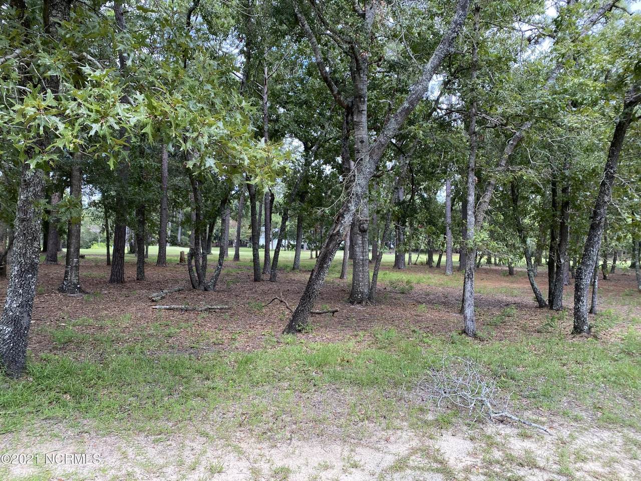 3064 Purple Finch Lane - Photo 1