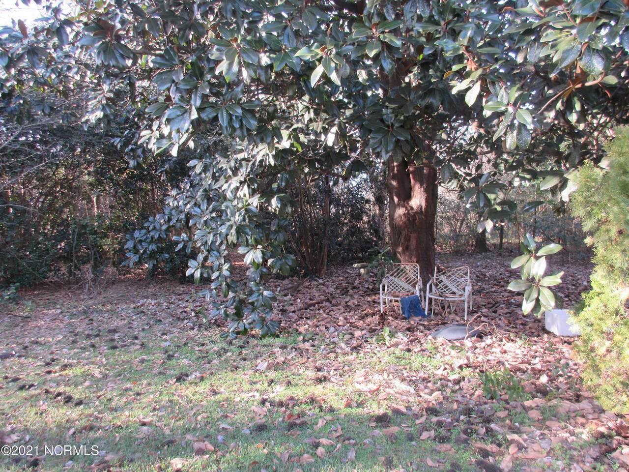 18200 Wagram Road - Photo 1