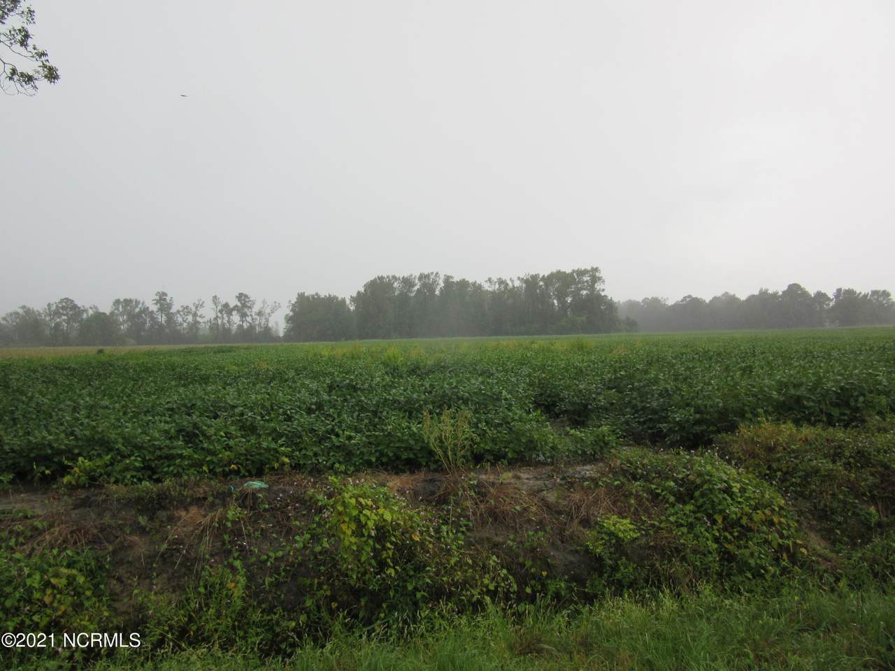 Near 923 Silver Spoon Road - Photo 1