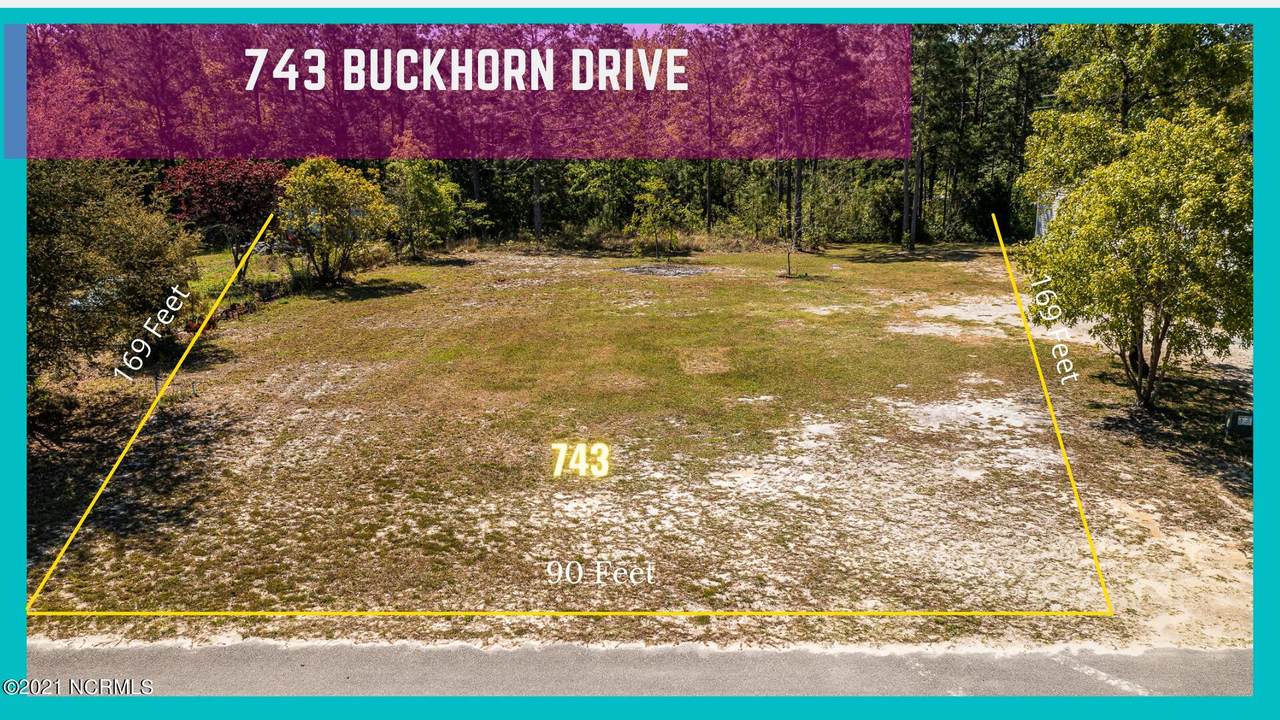 743 Buckhorn Drive - Photo 1