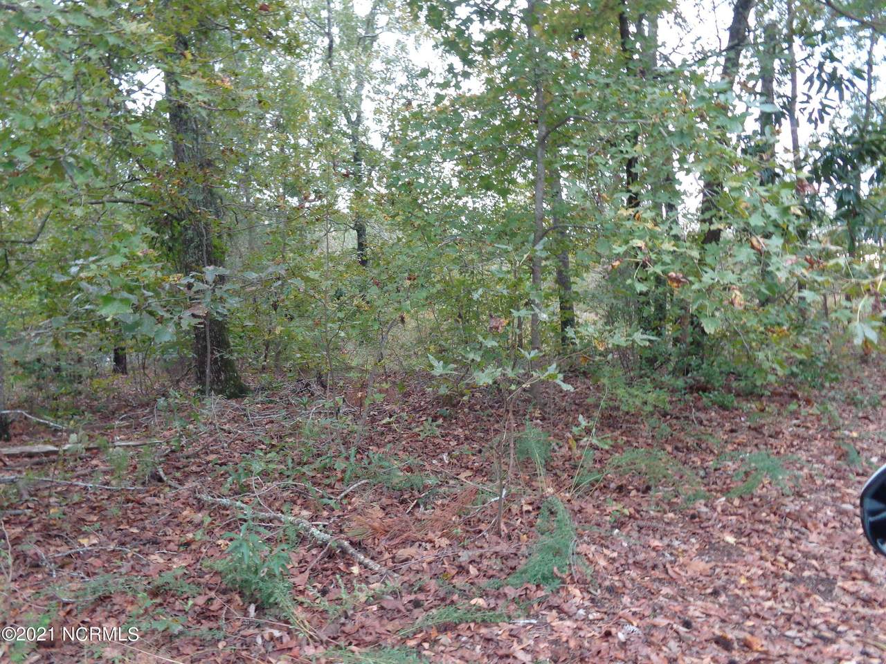 Tbd # 1 Murray Manor Lane - Photo 1