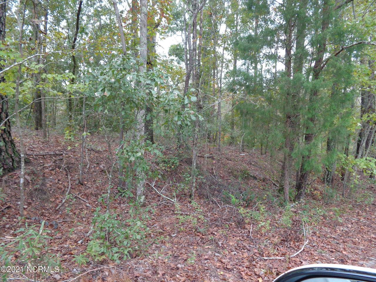 Tbd # 5 Murray Manor Lane - Photo 1