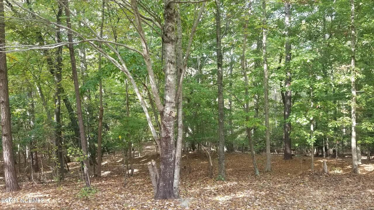 97 Horseshoe Hill Lane - Photo 1