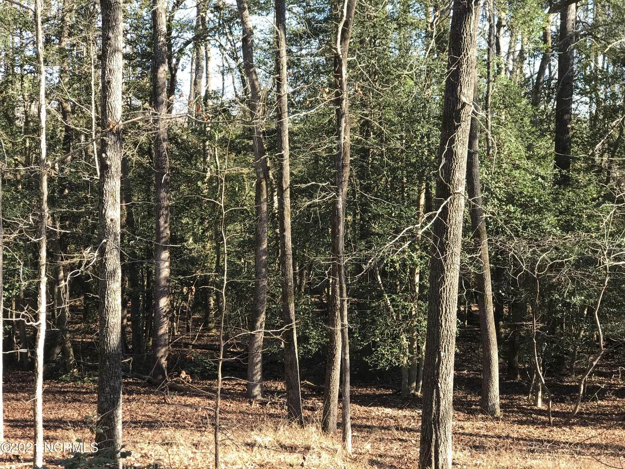 106 Tartan Trail - Photo 1