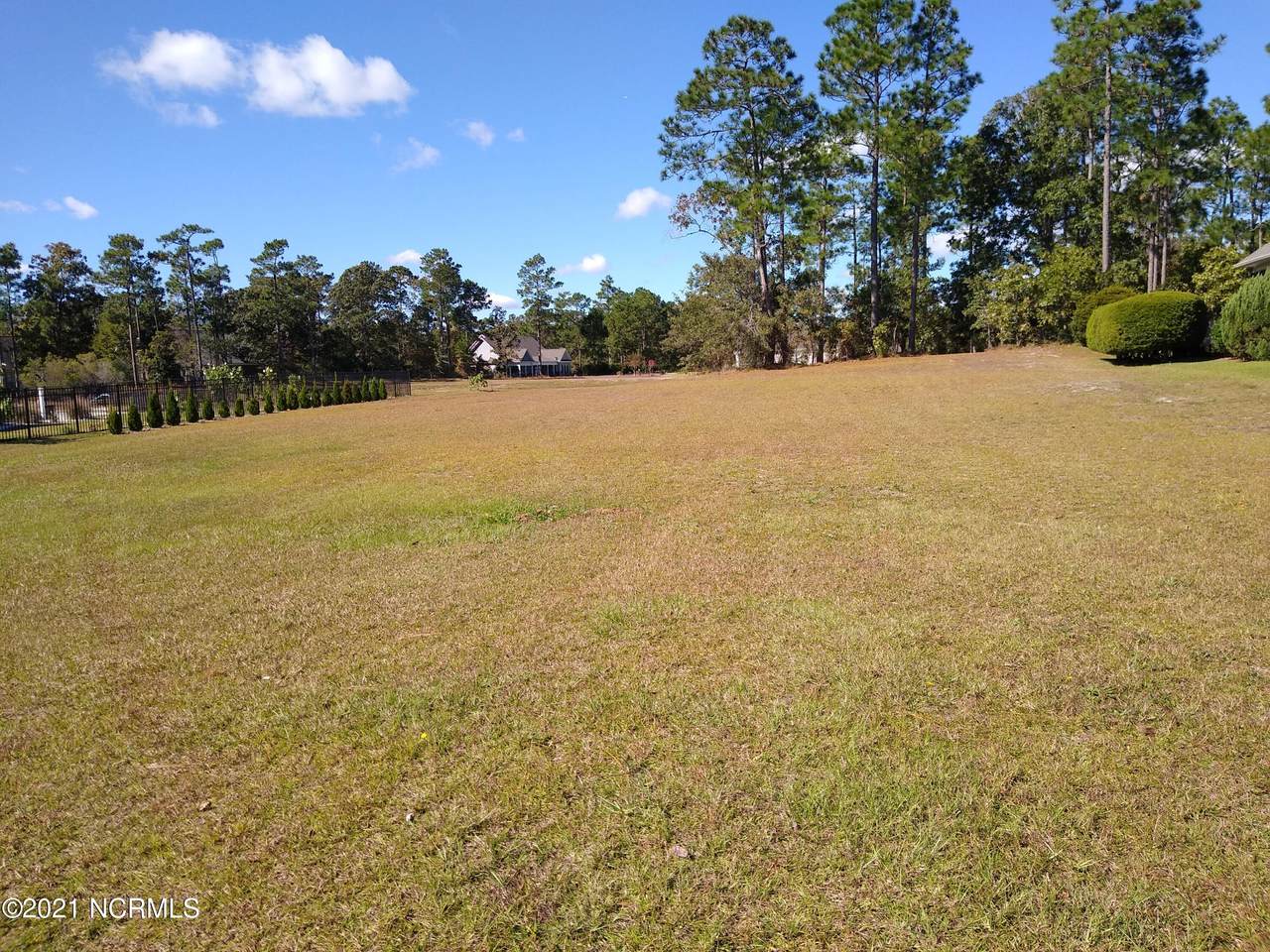 1248 St Simons Drive - Photo 1