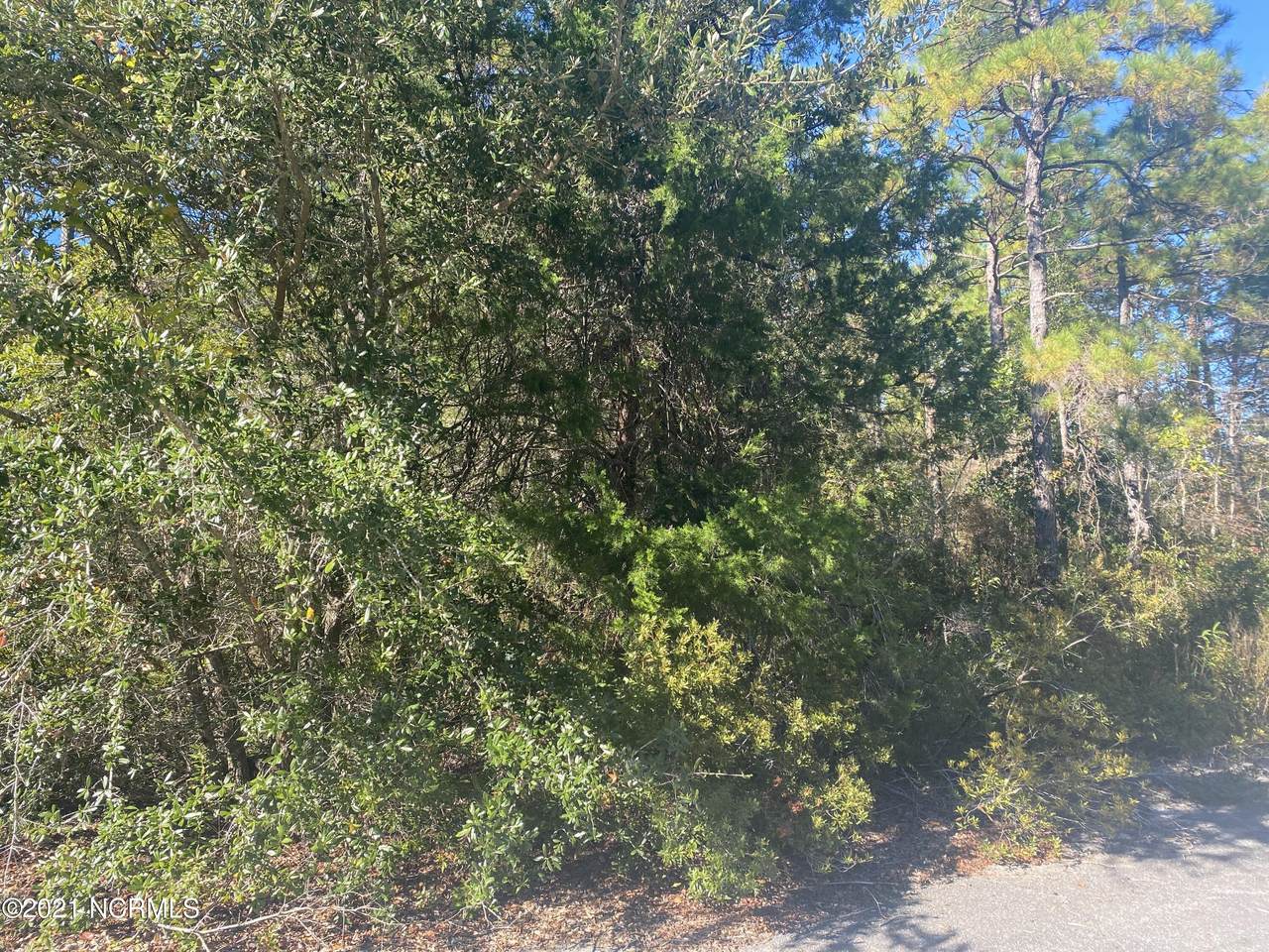 302 Dottie Lane - Photo 1