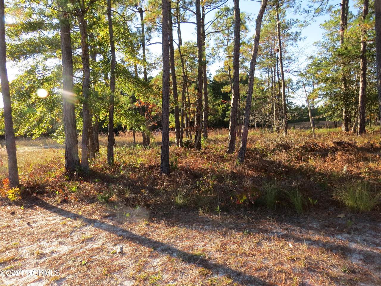 455 Deke Court - Photo 1