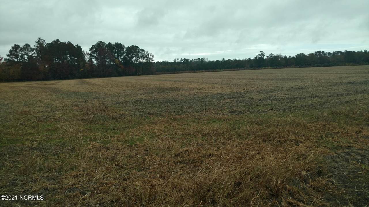 1281 Marlowe Road - Photo 1