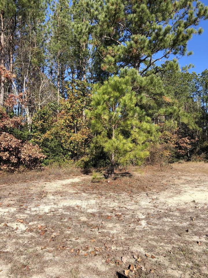 Lot 60 Summerset Landing - Photo 1