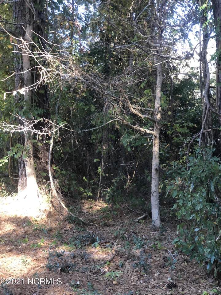 0 Mill Creek Road - Photo 1