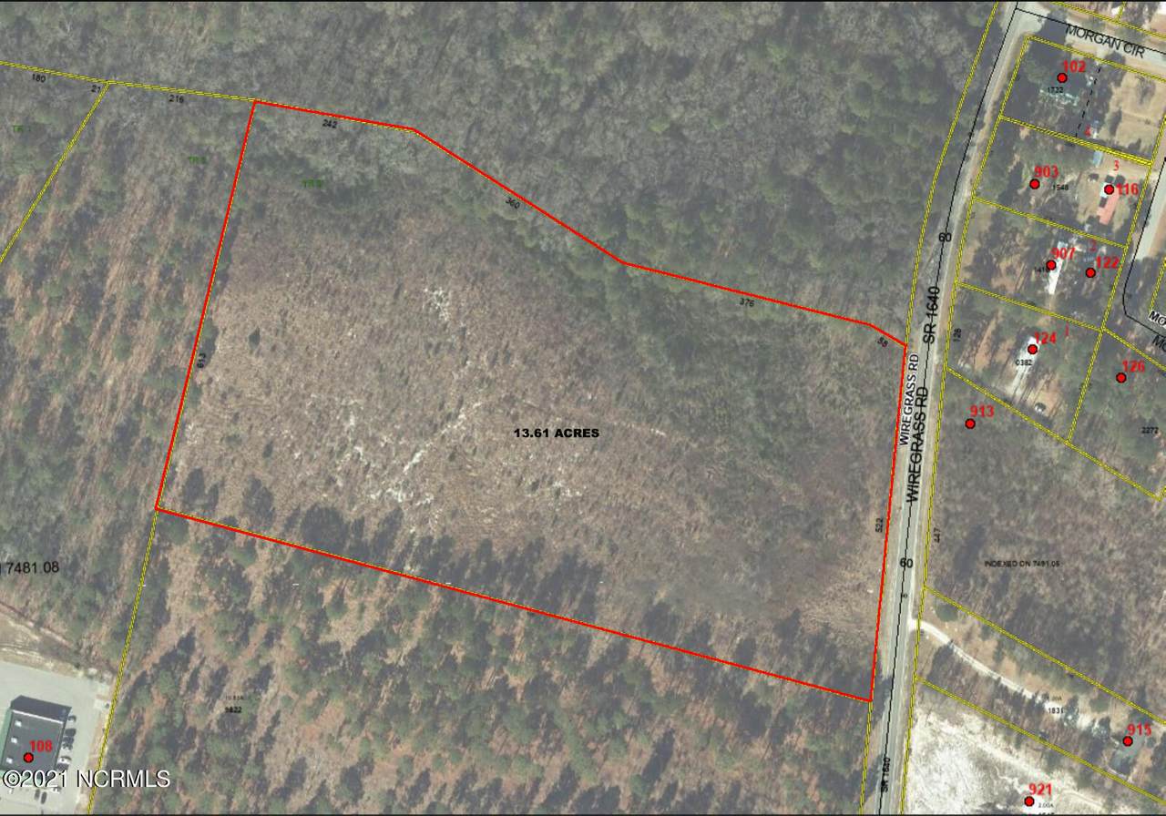 Tbd Wiregrass Road - Photo 1