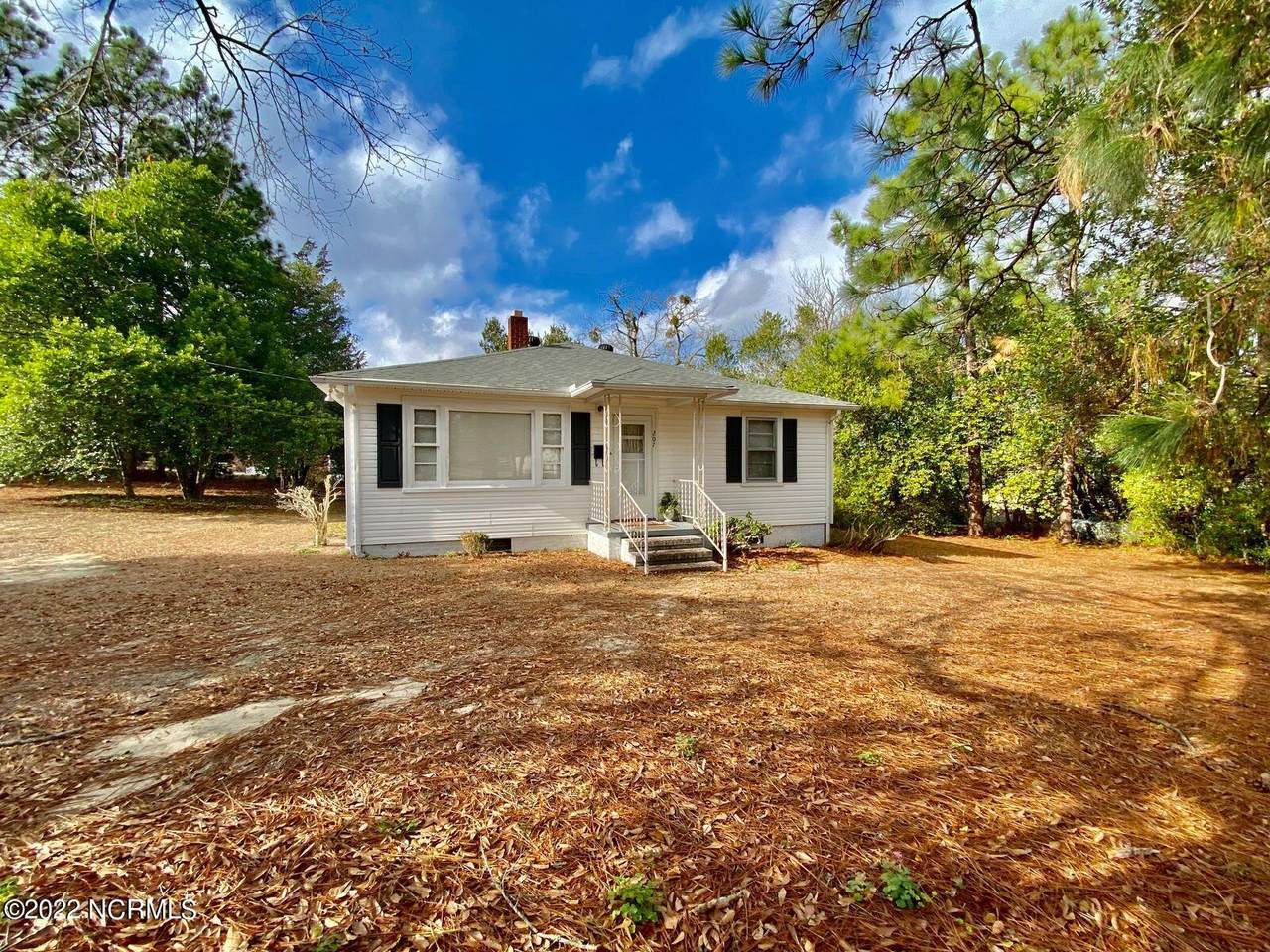 207 Park Street - Photo 1