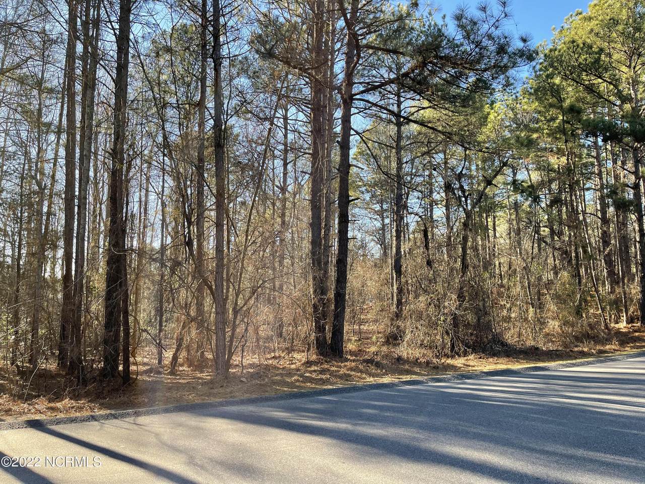 511 Longleaf Drive - Photo 1