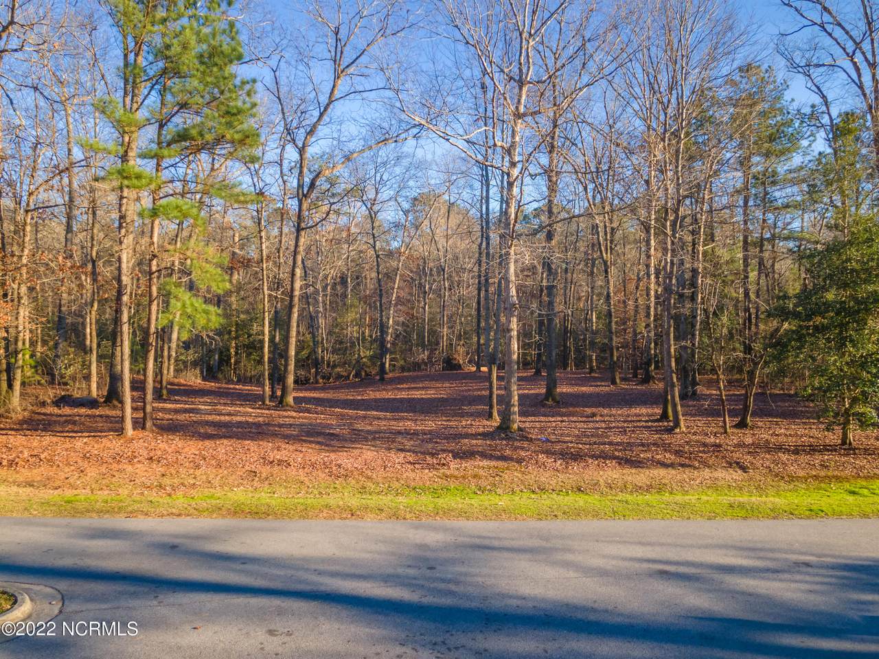 972 White Horse Drive - Photo 1