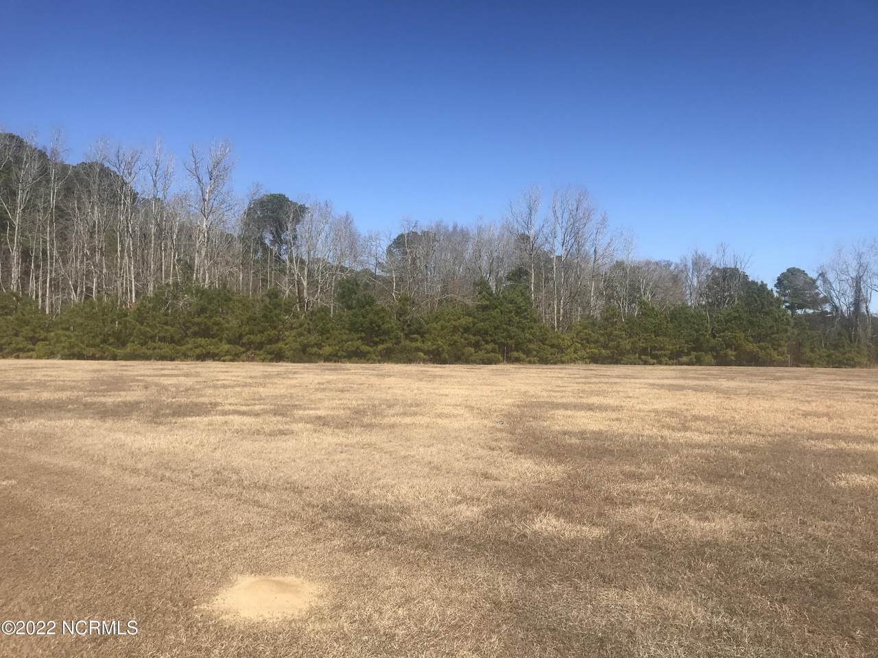 Lot 38 Winfield Lane - Photo 1