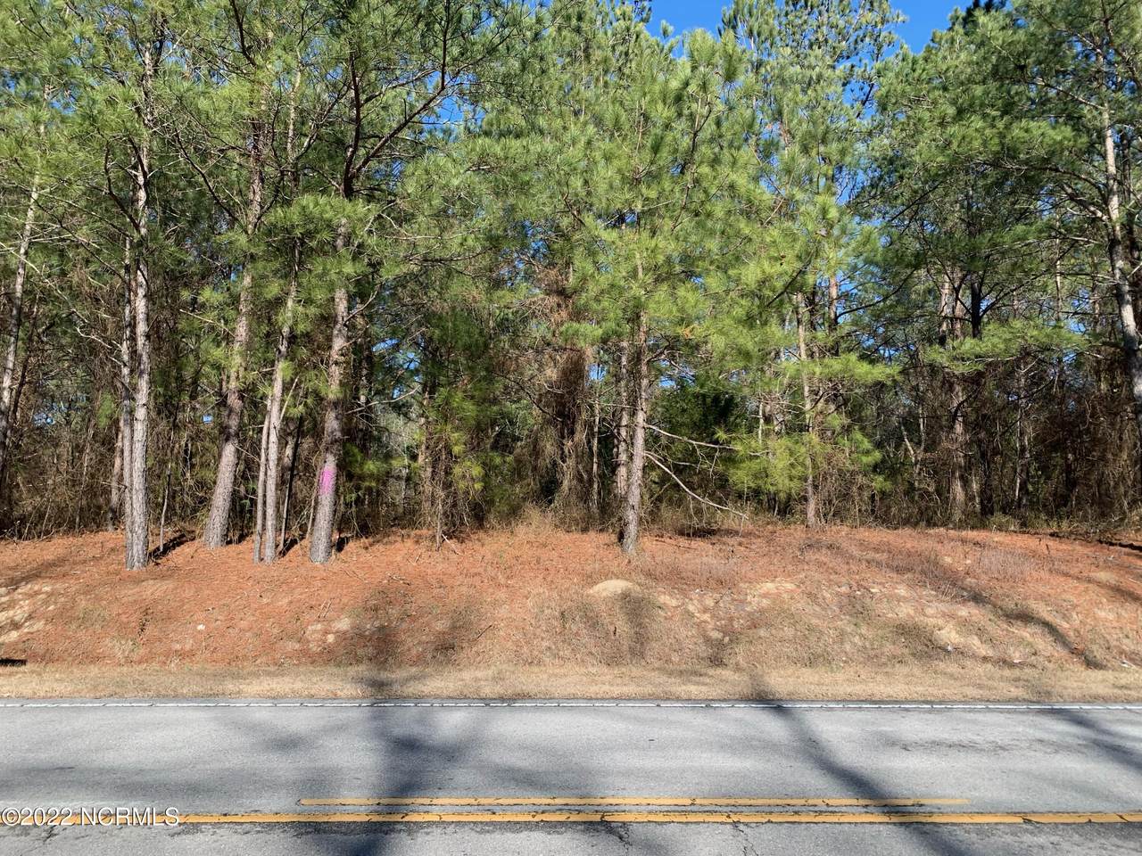 119 Simmons Bluff Lane - Photo 1