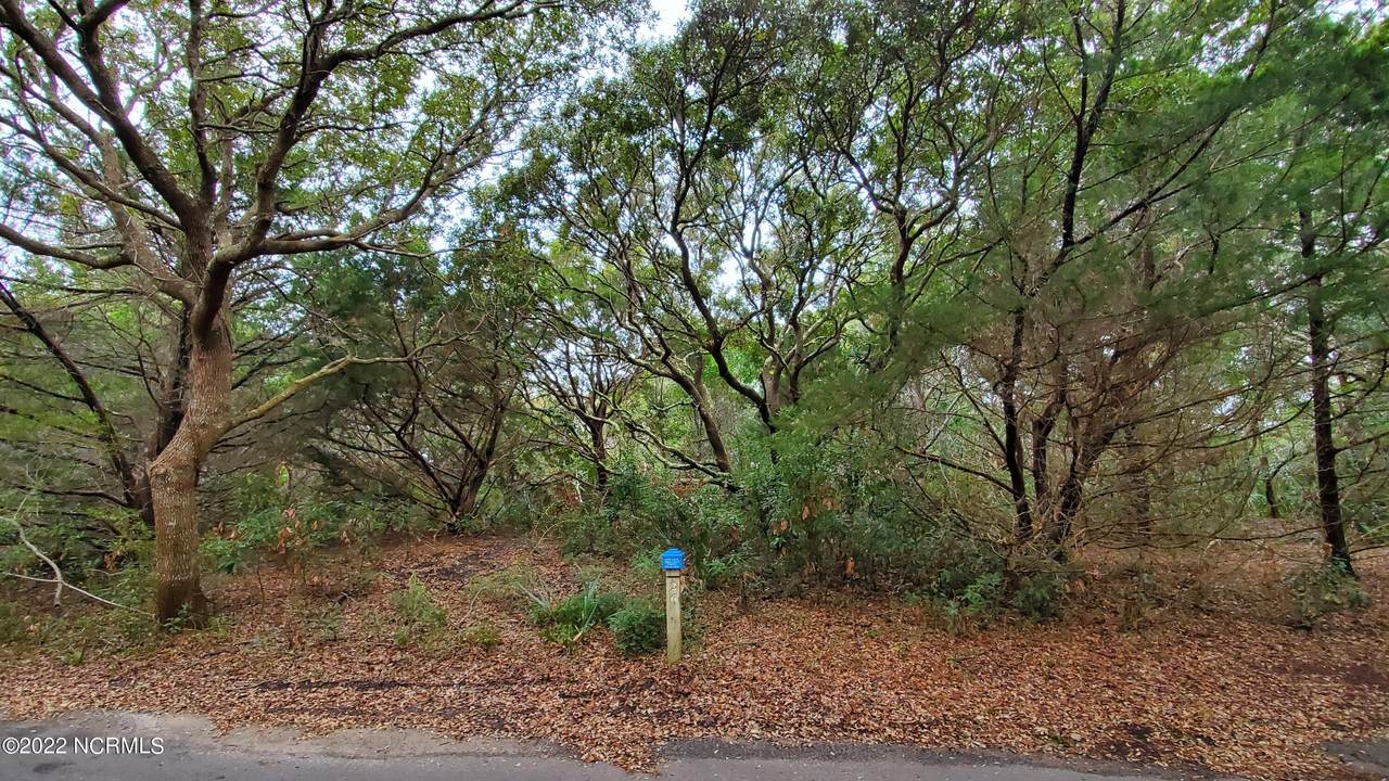 26 Horsemint Trail - Photo 1