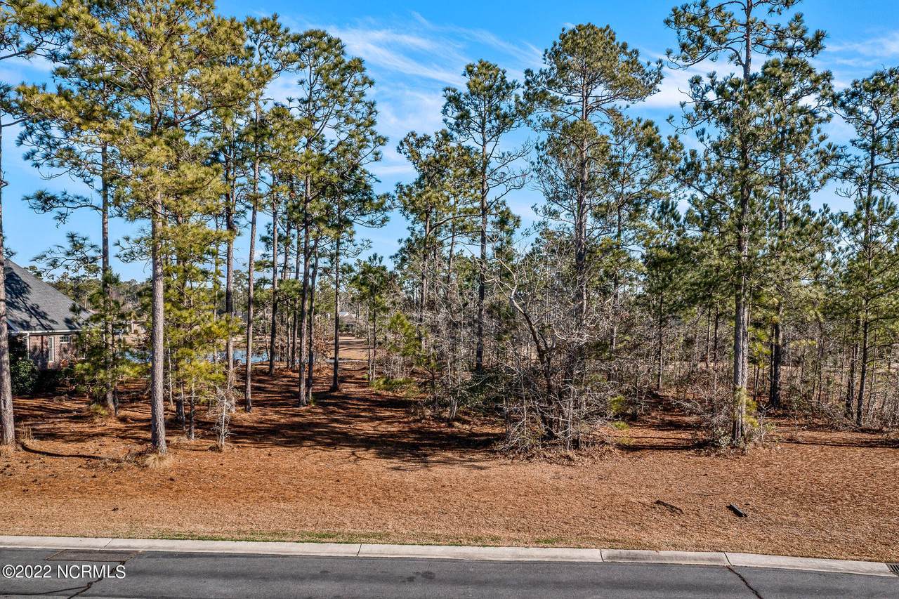1158 Sabel Loop - Photo 1