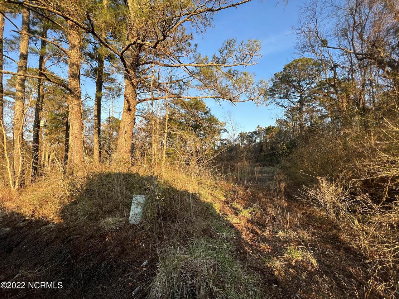 161 Hadley Collins Road - Photo 1