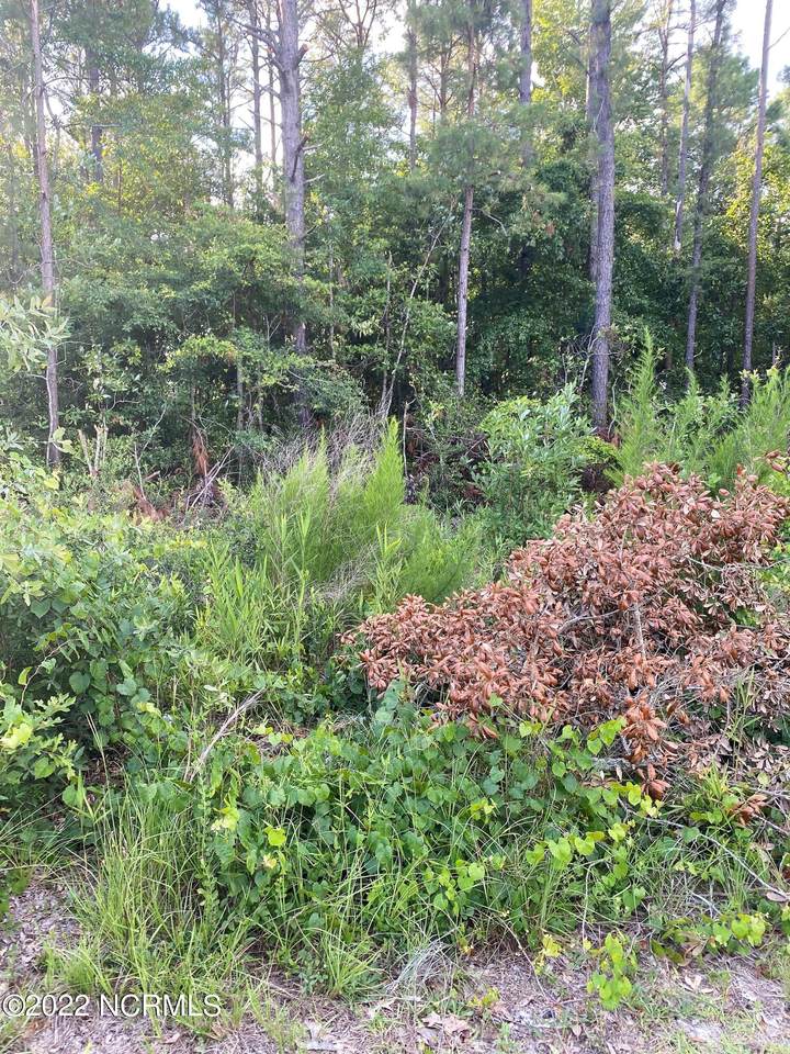 2784 Swallow Place - Photo 1