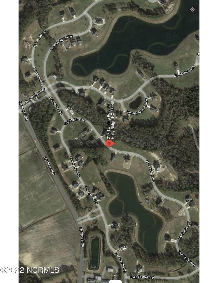 217 Twining Rose Lane - Photo 1