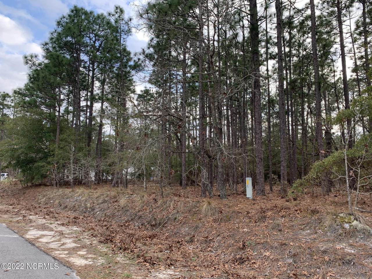 99 Cherokee Road - Photo 1