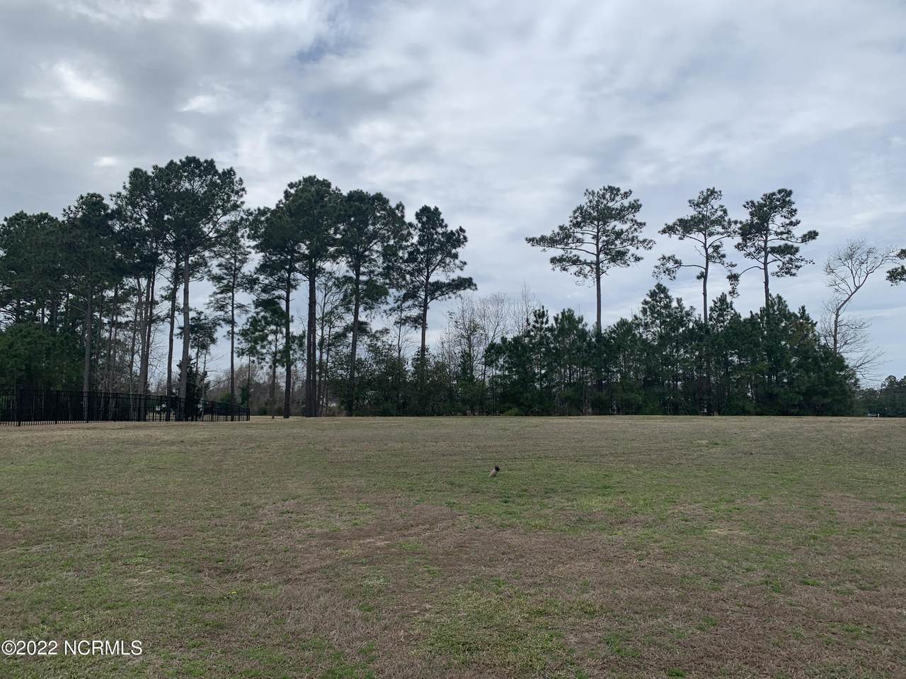 158 Spicer Lake Drive - Photo 1