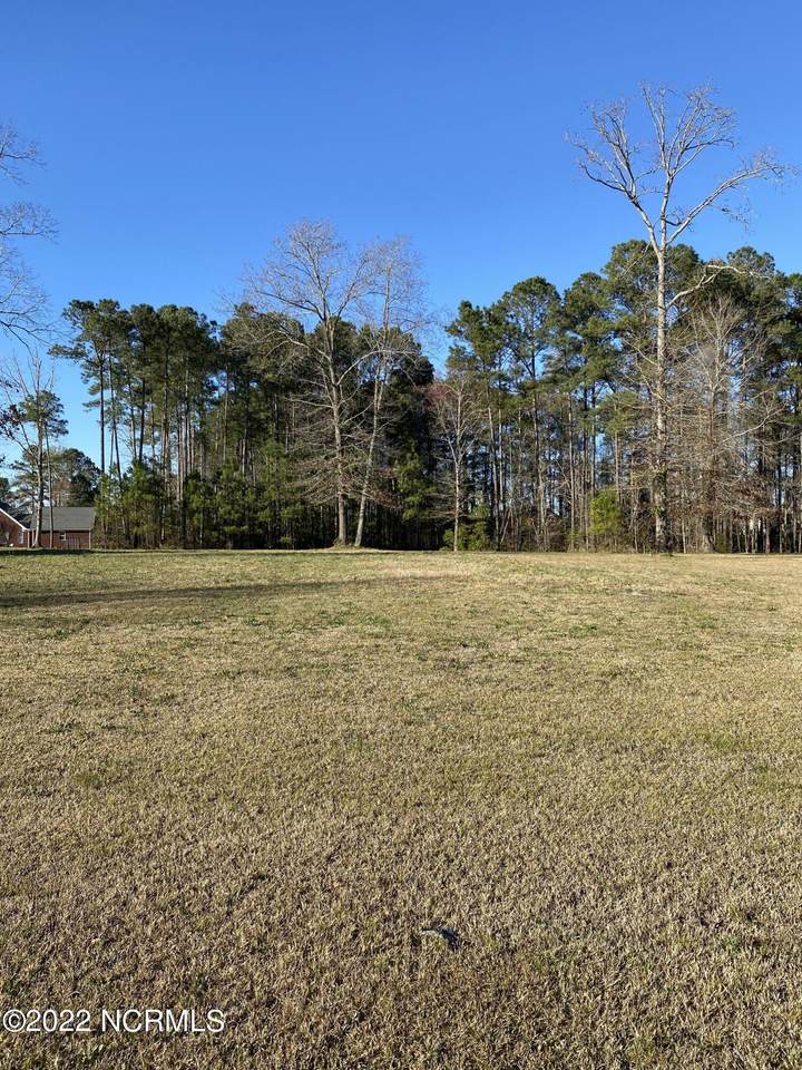 406 Cape Fear Drive - Photo 1