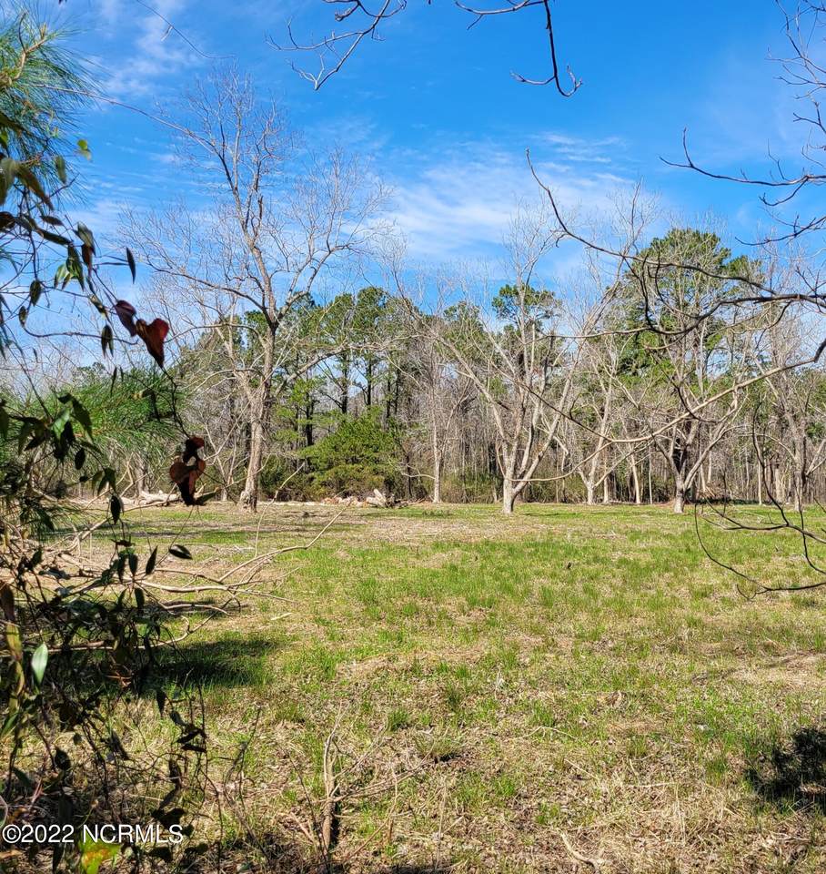 983 Tuttles Grove Road - Photo 1