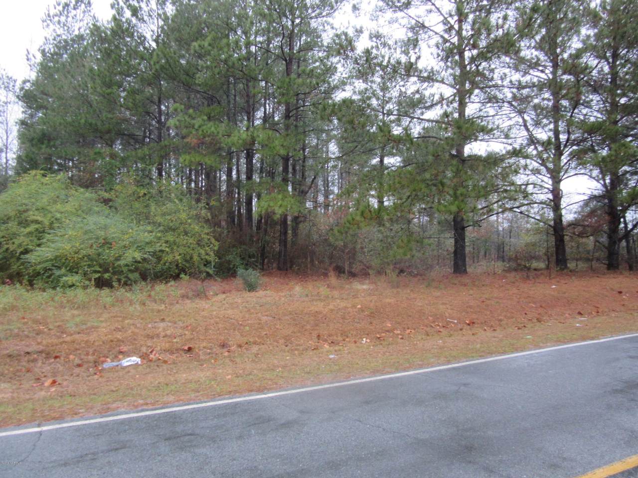 12380 Old Johns Road - Photo 1