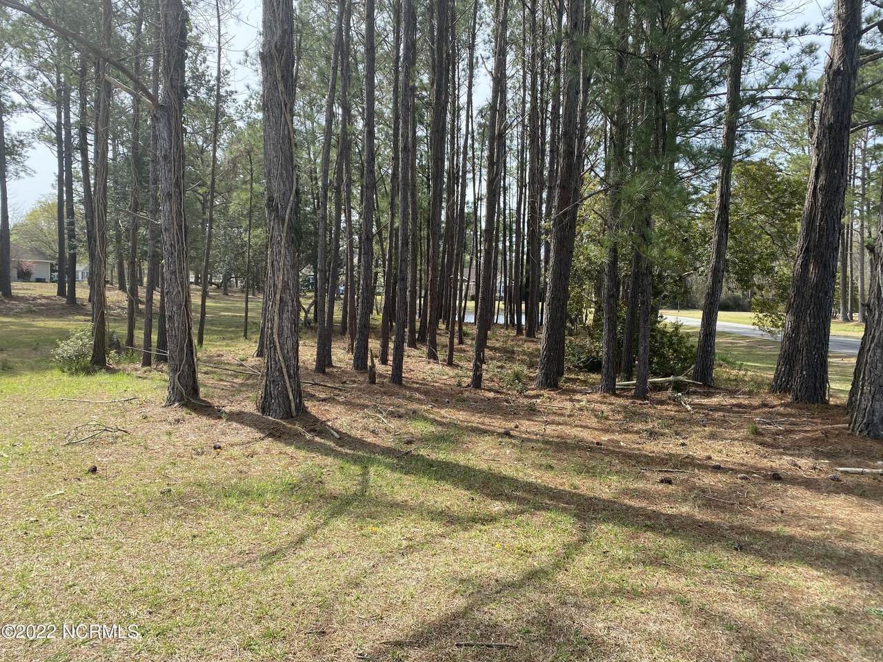 3129 Pine Hill Drive - Photo 1