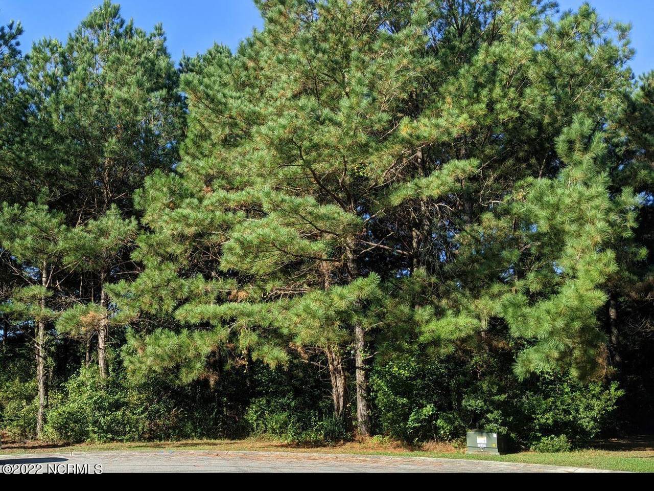 8864 Pickney Place - Photo 1