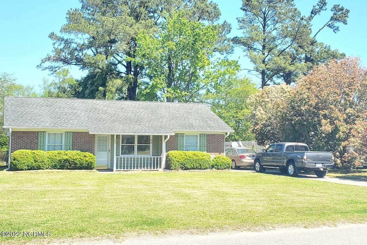 203 Old Mill Road - Photo 1
