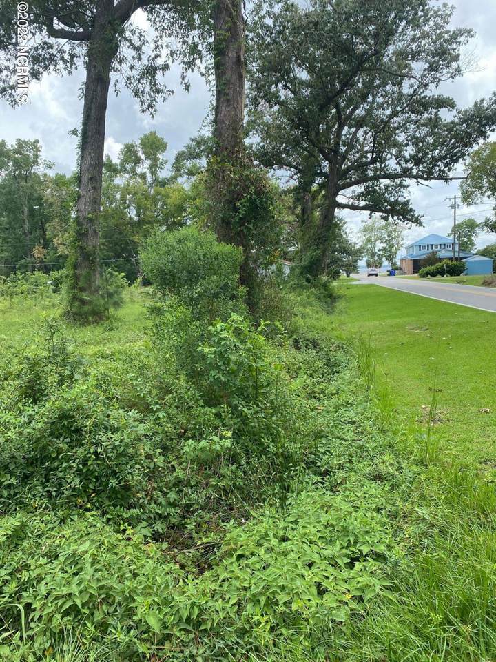 Near 1305 Bartram Lane - Photo 1