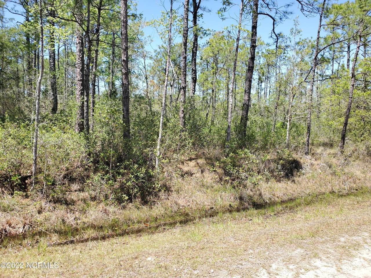 L-54 Mallard Road - Photo 1