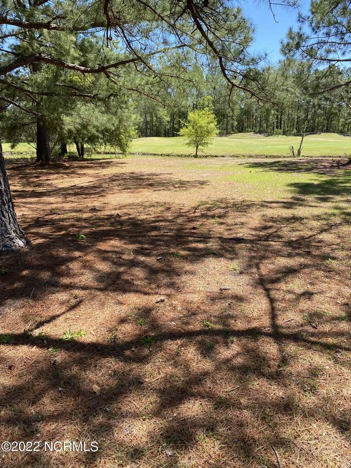 8807 Carenden Court - Photo 1