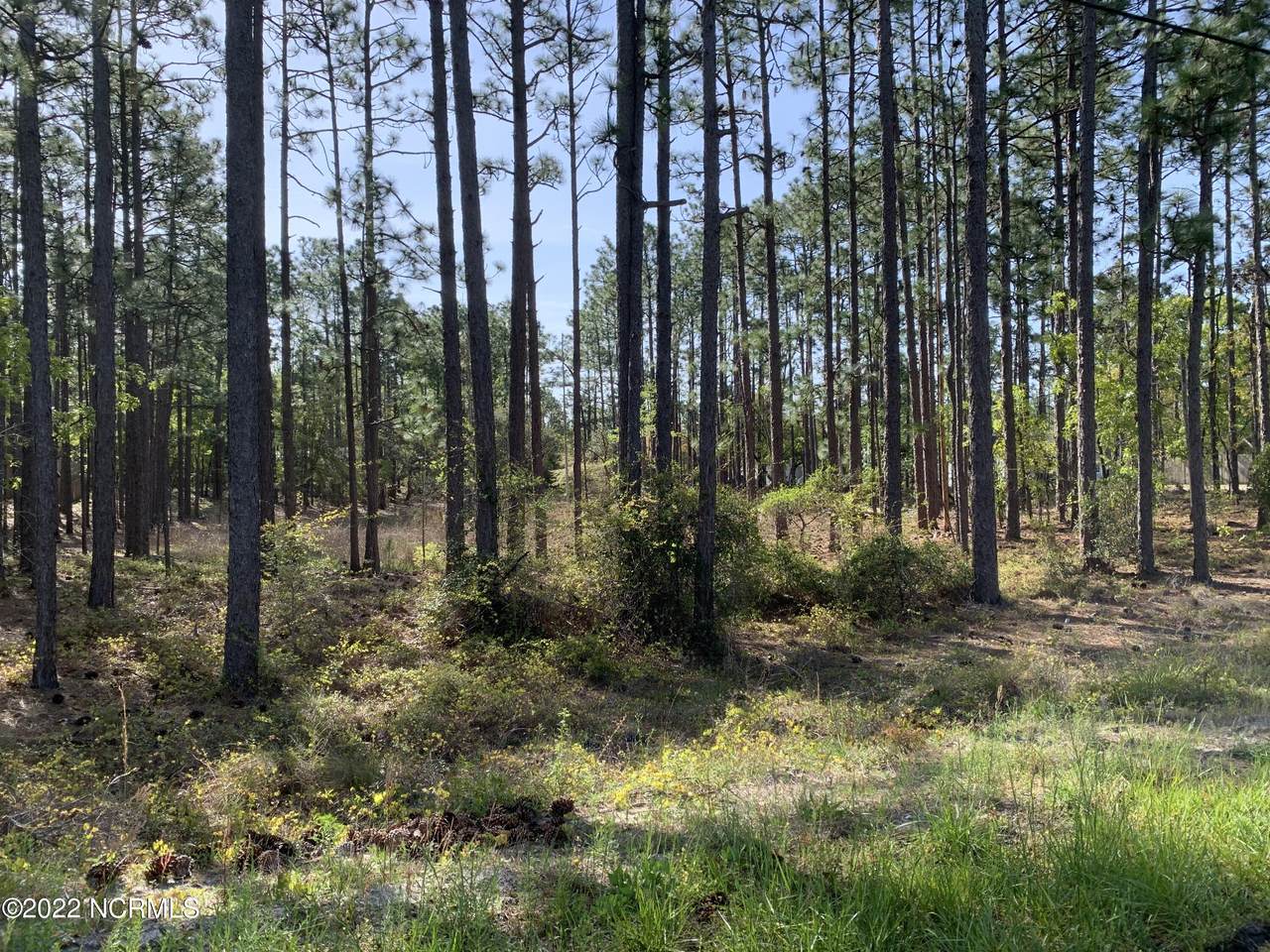 L-2 Boiling Spring Road - Photo 1