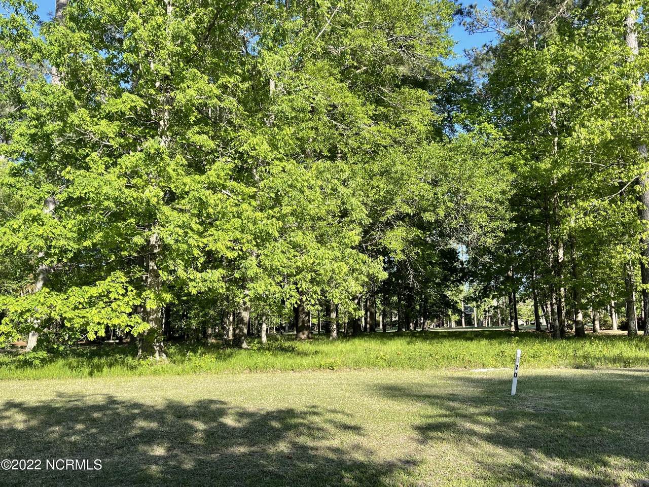 Lot 170 Cape Fear Drive - Photo 1