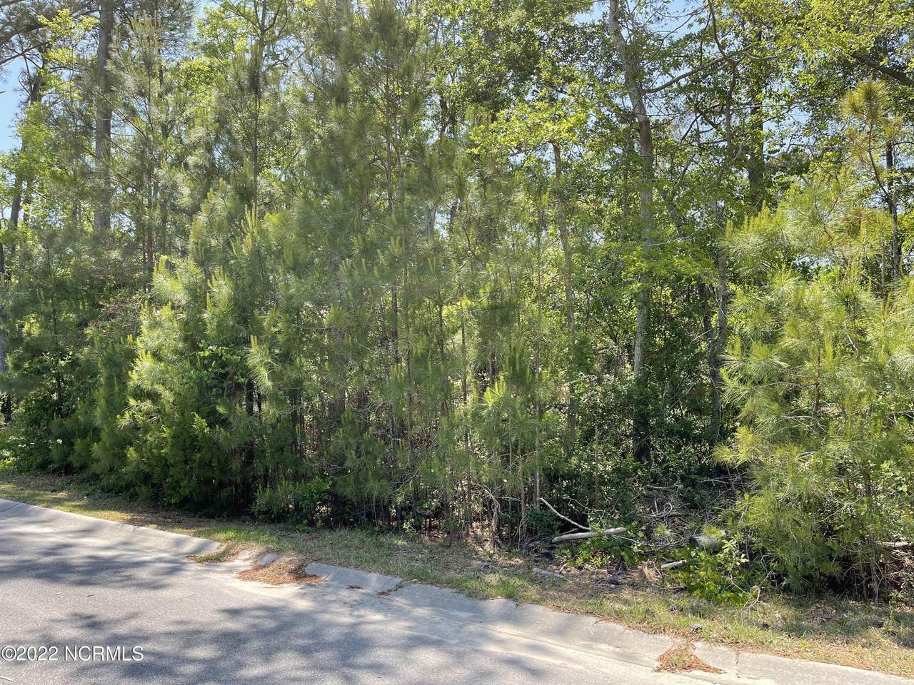 2917 Blue Sky Drive - Photo 1