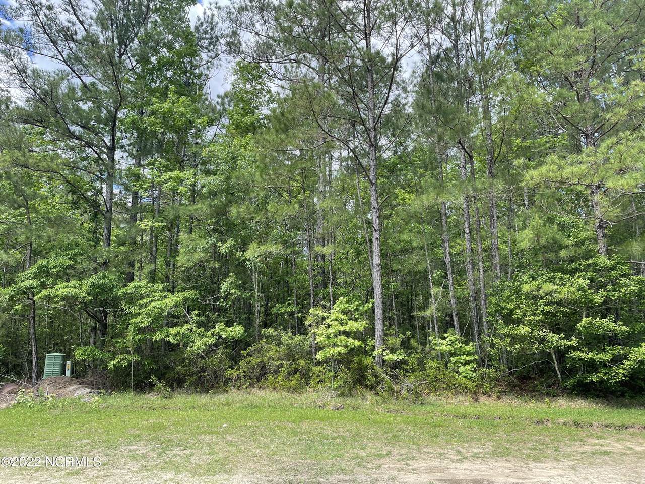 2209 Woodard Road - Photo 1