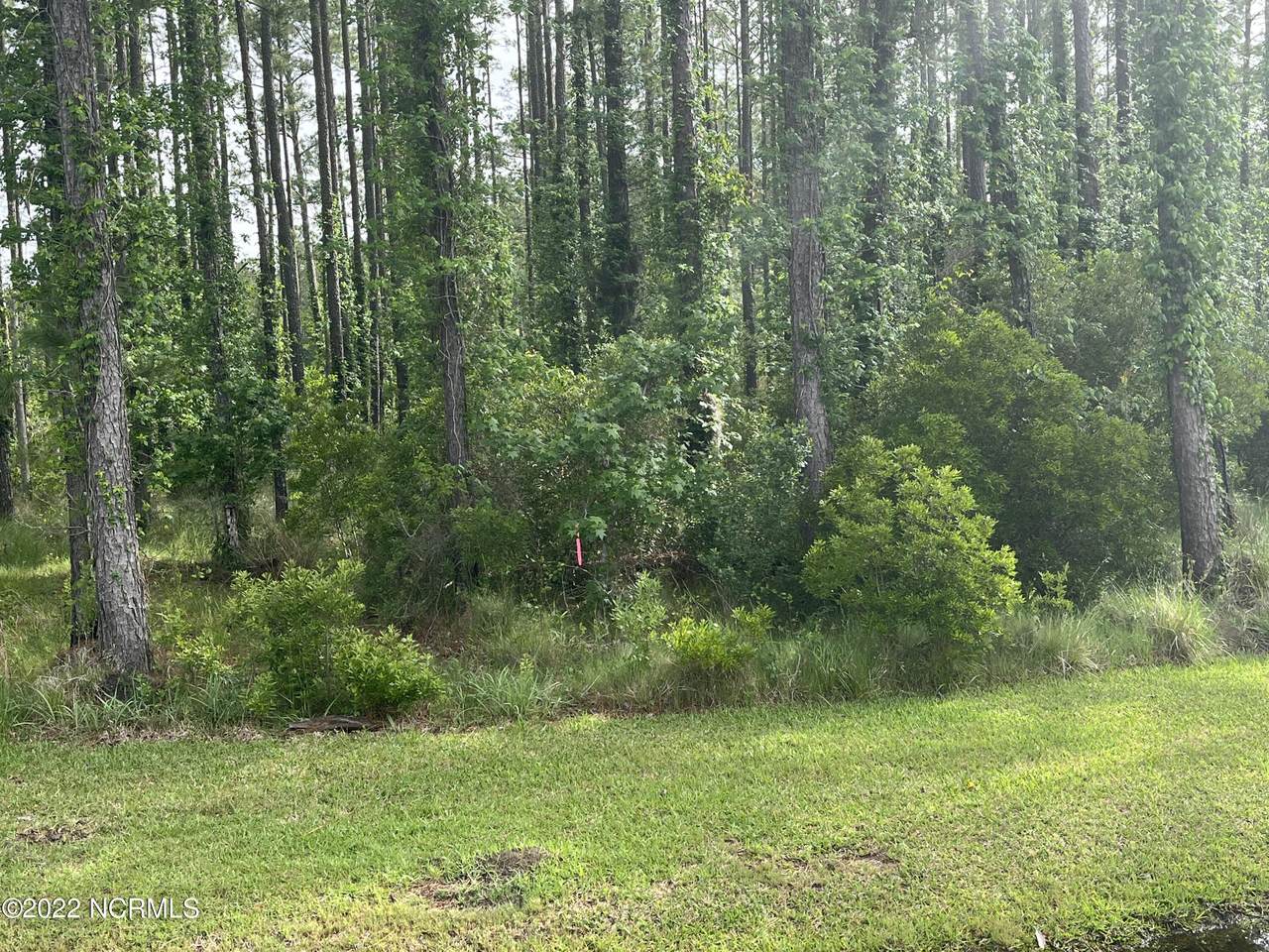 Lot 60 Dowry Creek - Photo 1