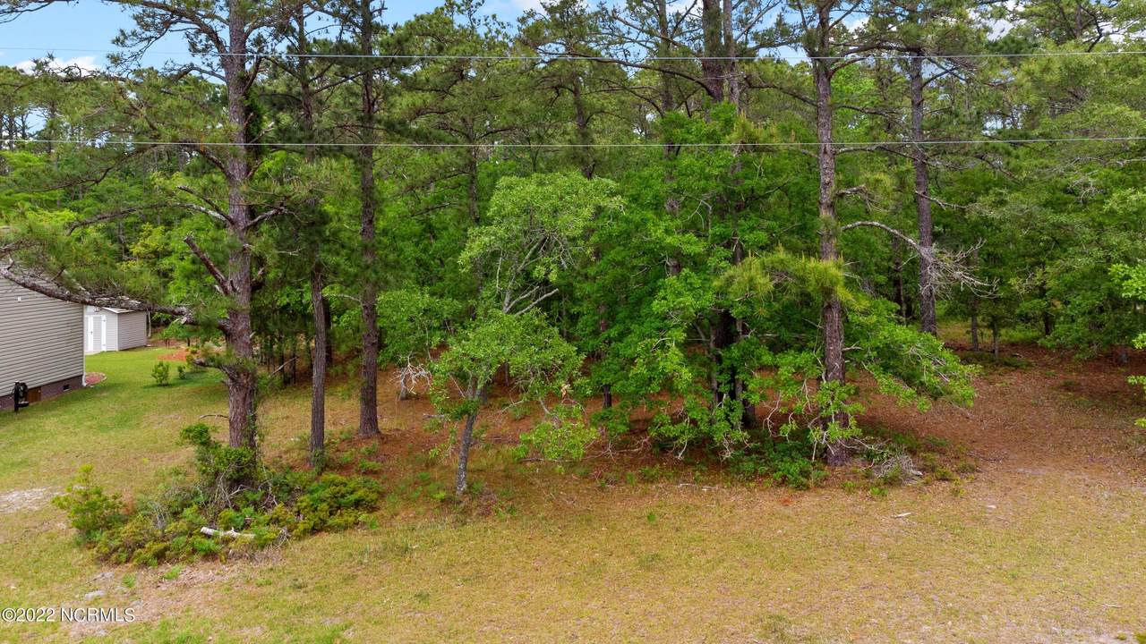 2306 Caracara Drive - Photo 1