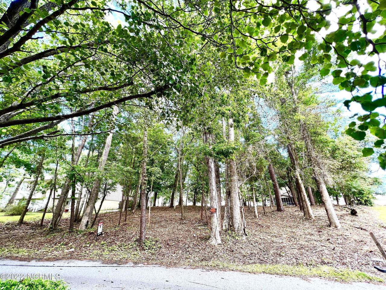 4065 Forest Lake Drive - Photo 1