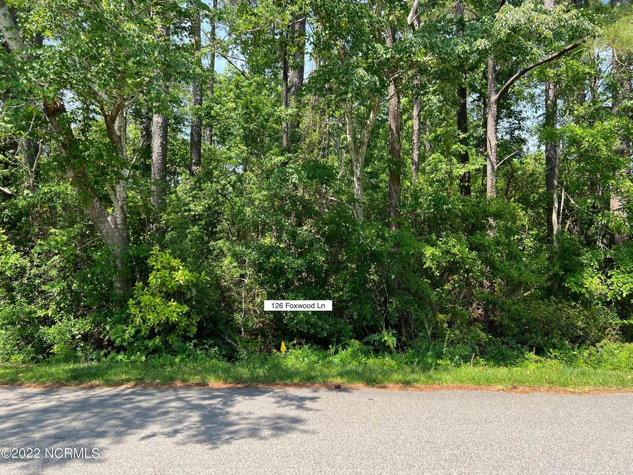 126 Foxwood Lane - Photo 1
